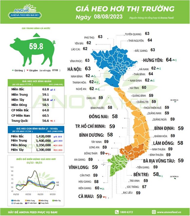 Cổ phiếu doanh nghiệp chăn nu&#244;i heo đồng loạt bứt ph&#225; mạnh, c&#243; m&#227; tăng gần 90% sau 4 th&#225;ng - Ảnh 1