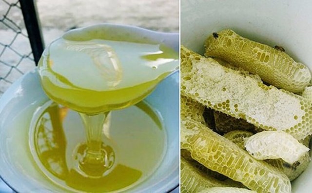 Mật ong hoa bạc h&agrave; - vị thuốc qu&yacute; của người H&agrave; Giang.