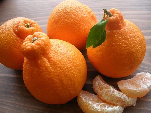 Kh&#225;m ph&#225; sản vật miền Bắc Việt Nam (Kỳ 2): mật ong bạc h&#224;, ch&#225;o ấu tẩu, qu&#253;t chum vỏ v&#224;ng, thịt b&#242; kh&#244; Đồng Văn - Ảnh 2