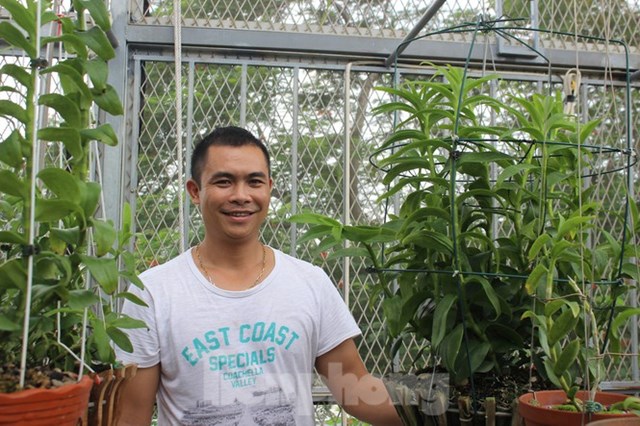 Anh Bi&ecirc;n cho biết, lan đột biến tự nhi&ecirc;n n&oacute; đẹp, hiếm, độc v&agrave; lạ n&ecirc;n l&uacute;c n&agrave;o cũng được nhiều người săn l&ugrave;ng
