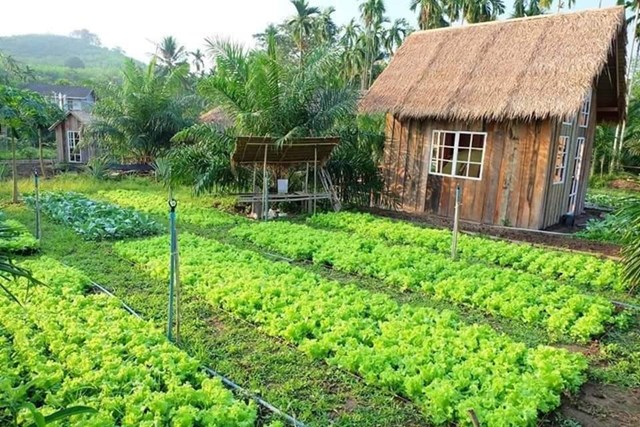 L&agrave;m farmstay tốn nhiều chi ph&iacute; v&agrave; c&ocirc;ng sức. Nguồn: NVCC