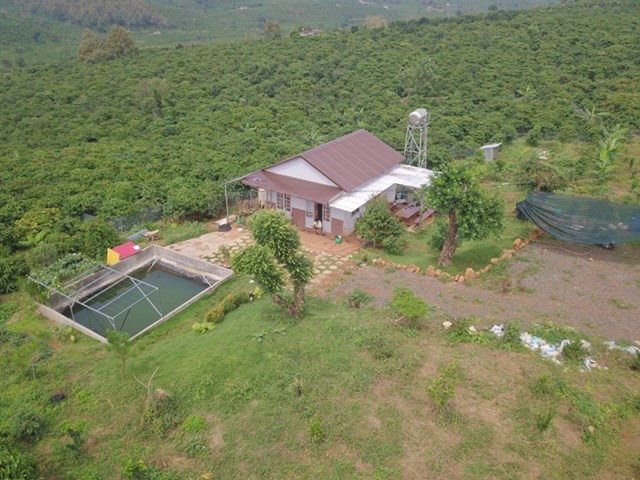 Gi&aacute; đất vườn l&agrave;m farmstay tăng bất chấp dịch bệnh. Nguồn: NVCC