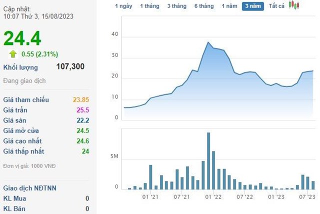 Ph&#243; Chủ tịch một c&#244;ng ty chứng kho&#225;n muốn mua gần 4% c&#244;ng ty, dự chi 140 tỷ đồng - Ảnh 1