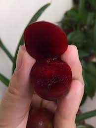 Mận c&oacute; m&agrave;u đỏ b&ecirc;n trong.
