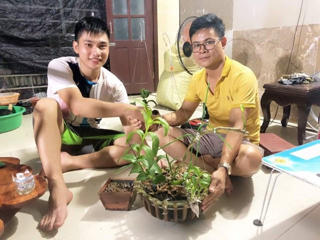 C&acirc;y lan "5 c&aacute;nh trắng Ph&uacute; Thọ" c&oacute; gi&aacute; 96 triệu đồng anh Tưởng bị lừa mua v&agrave;o th&aacute;ng 7