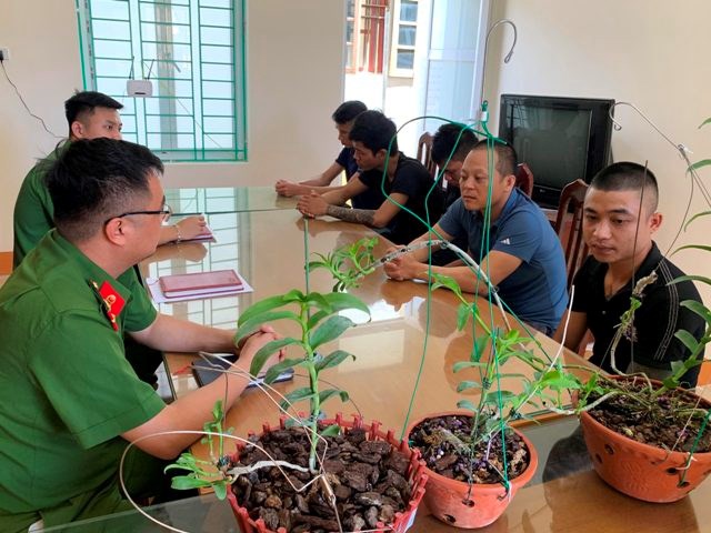 C&ocirc;ng an huyện Y&ecirc;n Thủy (H&ograve;a B&igrave;nh) đ&atilde; bắt giữ 5 người v&igrave; h&agrave;nh vi lừa đảo th&ocirc;ng qua hoạt động mua b&aacute;n hoa lan v&agrave;o cuối th&aacute;ng 7/2020