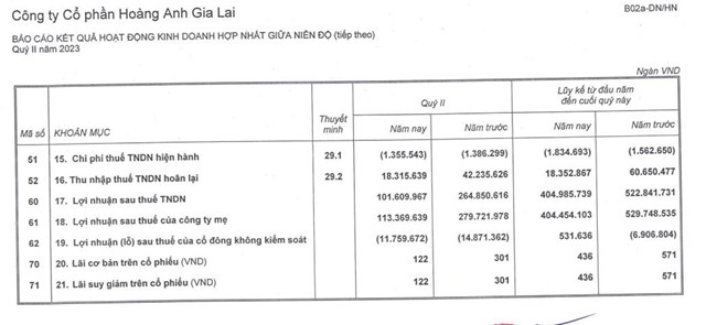 Ho&#224;ng Anh Gia Lai (HAG) muốn huy động 1.300 tỷ đồng từ nh&#224; đầu tư - Ảnh 3