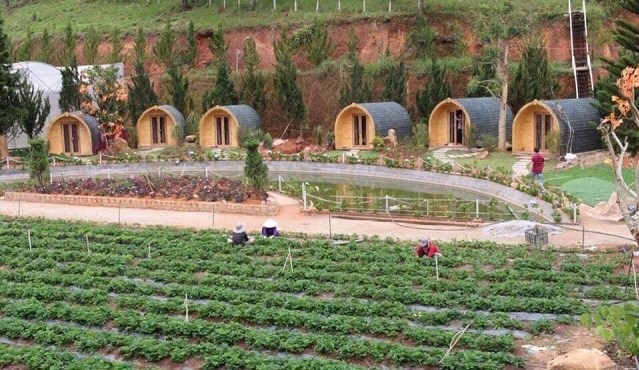 C&aacute;c dự &aacute;n bất động sản &ldquo;farmstay&rdquo; đang mọc l&ecirc;n như nấm