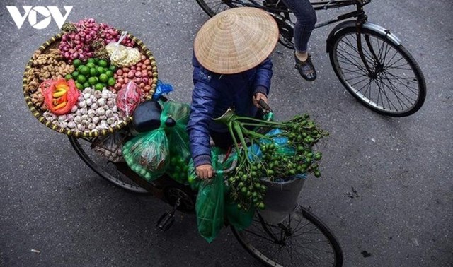 Lao động tự do l&agrave; đối tượng chịu t&aacute;c động trực tiếp của dịch Covid-19.