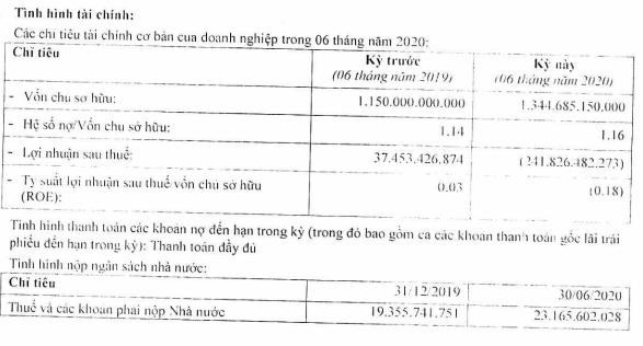Thi&#234;n Minh Group lỗ r&#242;ng 242 tỷ sau 6 th&#225;ng, liệu t&#226;n binh h&#224;ng kh&#244;ng KiteAir c&#243; tiếp tục &quot;lỡ chuyến&quot;? - Ảnh 1