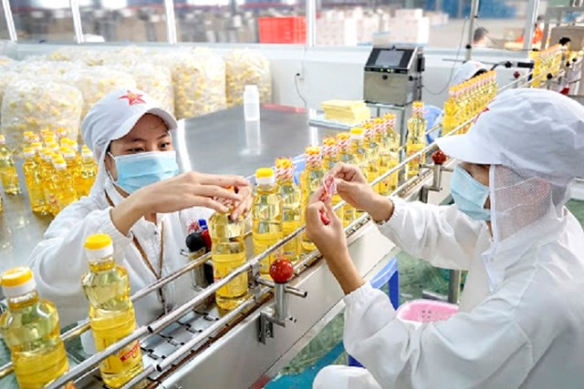D&ugrave; kết quả kinh doanh kh&ocirc;ng đột biến, cổ phiếu DAT vẫn tăng trần 39 phi&ecirc;n li&ecirc;n tiếp
