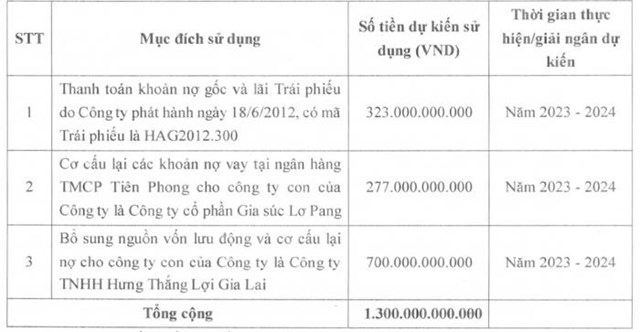 Bị kiểm to&#225;n nghi ngờ khả năng hoạt động, C&#244;ng ty Ho&#224;ng Anh Gia Lai (HAG) n&#243;i g&#236;? - Ảnh 2