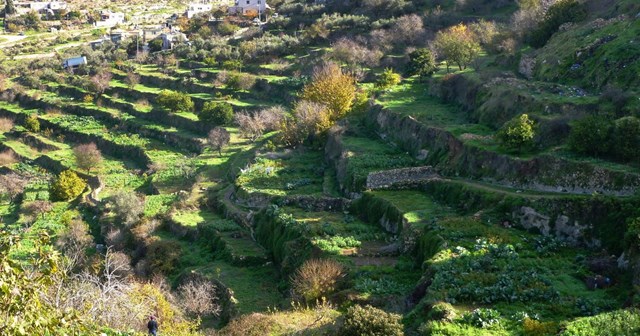 Quang cảnh ruộng bậc thang Battir&nbsp;