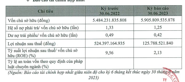BCG Land l&#227;i hơn 125 tỷ đồng trong nửa đầu năm 2023 - Ảnh 2