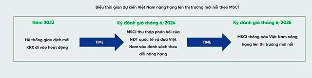 Những cổ phiếu n&#224;o sẽ thu h&#250;t d&#242;ng tiền ngoại nếu chứng kho&#225;n Việt Nam được n&#226;ng hạng l&#234;n thị trường mới nổi? - Ảnh 2