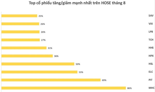 H&#224;ng loạt cổ phiếu bứt ph&#225; trong th&#225;ng thị trường biến động mạnh, &quot;qu&#225;n qu&#226;n&quot; thuộc về một m&#227; tăng 210% - Ảnh 2