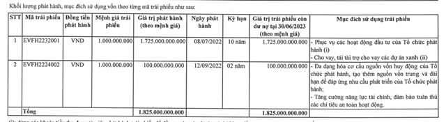 Nợ phải trả EVNFinance gấp gần 10 lần vốn chủ sở hữu trong nửa đầu năm 2023  - Ảnh 3