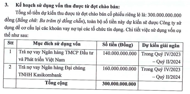 Rạng Đ&#244;ng Holdings (RDP) muốn ph&#225;t h&#224;nh 30 triệu cổ phiếu ri&#234;ng lẻ để trả nợ ng&#226;n h&#224;ng - Ảnh 1