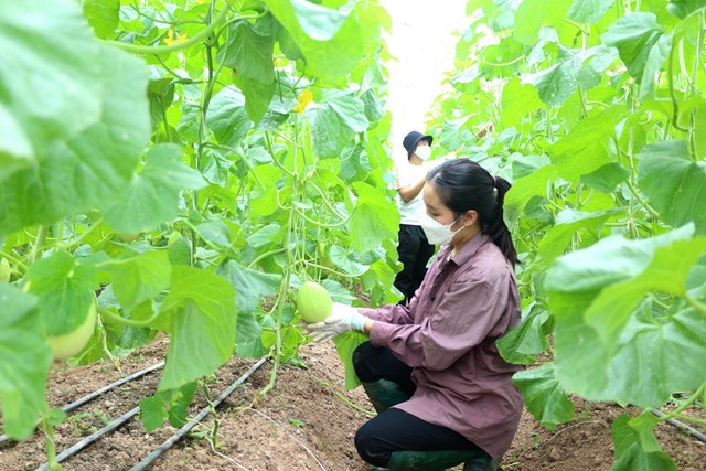 Ngành NN&MT giữ vững đà tăng trưởng, không đánh đổi môi trường lấy kinh tế
