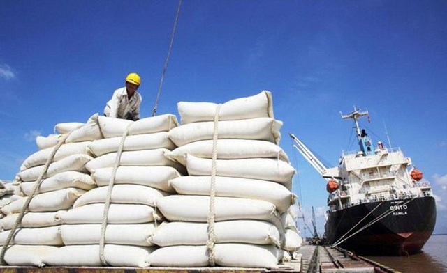 Bộ Công Thương khuyến nghị thương nhân kinh doanh xuất khẩu gạo tích cực mua tạm trữ lúa gạo cho bà con nông dân - Ảnh minh họa