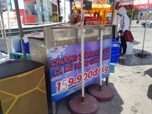 "Giải cứu" c&aacute; m&uacute; sống Cam Ranh tại Nha Trang với gi&aacute; 159.000 đồng/kg