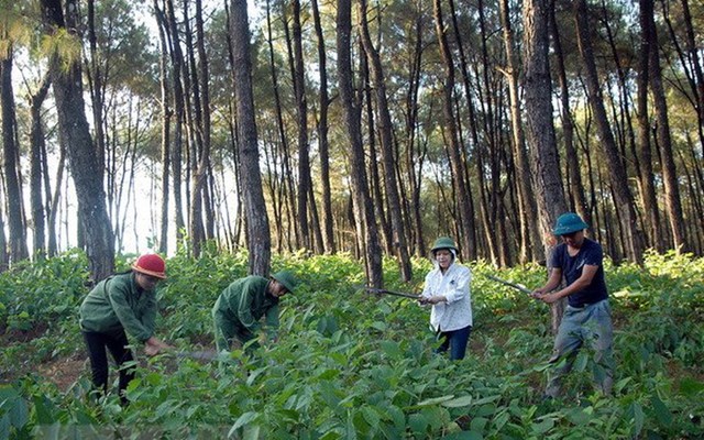 Định mức đất ở, đất sản xuất để xác định hộ gia đình thiếu đất - Ảnh 1
