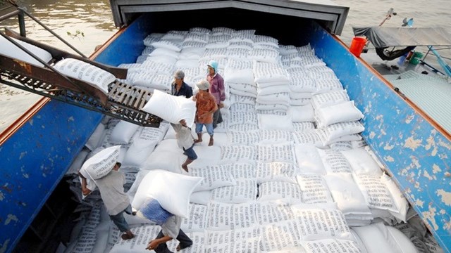 Hiện nay, gạo Việt đang bị c&aacute;c doanh nghiệp nước ngo&agrave;i "&eacute;p gi&aacute;". Ảnh: T.L
