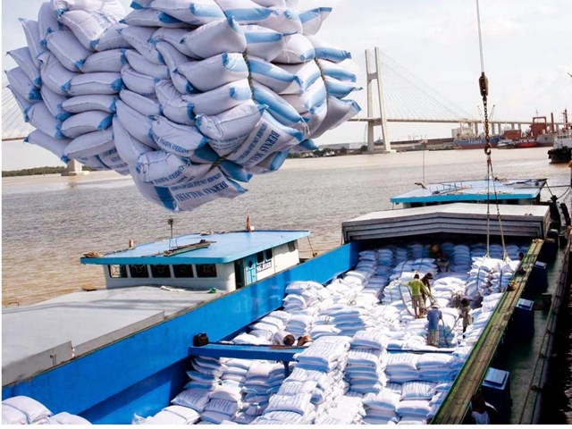 Xuất khẩu gạo đ&atilde; mất đi "cơ hội v&agrave;ng" v&agrave;o th&aacute;ng 3 v&agrave; th&aacute;ng 4/2020. Ảnh: T.L