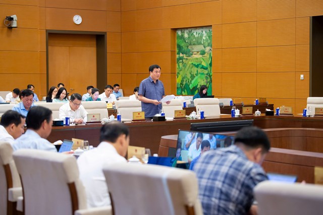 Thứ trưởng Bộ C&ocirc;ng Thương Nguyễn Sinh Nhật T&acirc;n tr&igrave;nh b&agrave;y Tờ tr&igrave;nh của Ch&iacute;nh phủ về Dự &aacute;n Luật Thương mại điện tử
