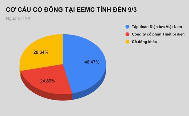 EVN b&#225;n đấu gi&#225; trọn l&#244; hơn 13,13 triệu cổ phần tại Tổng c&#244;ng ty thiết bị điện Đ&#244;ng Anh - Ảnh 1