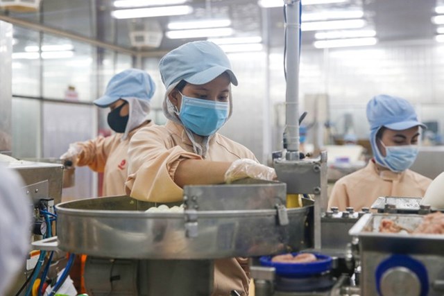 Cần gia hạn thời gian nộp thuế d&agrave;i hơn để hỗ trợ doanh nghiệp. Ảnh Đ&agrave;o Ngọc Thạch