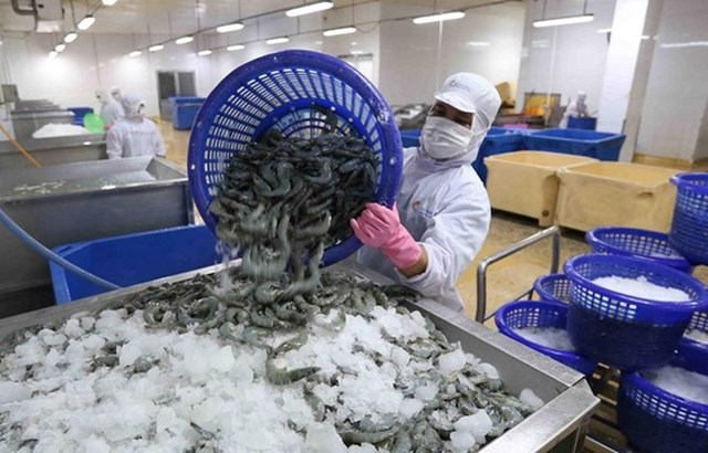 Xuất khẩu thủy sản trong 8 th&aacute;ng năm 2025 đạt 7,3 tỷ USD, tăng 17% so với c&ugrave;ng kỳ năm ngo&aacute;i - Ảnh minh họa
