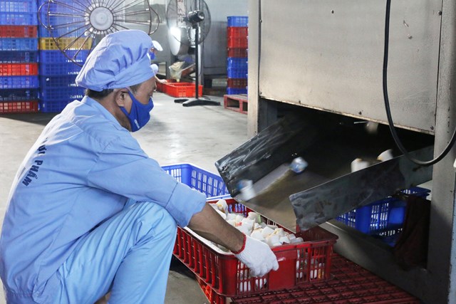 Thạch được sấy kh&ocirc; ngay cuối d&acirc;y chuyền