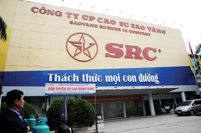 Cao su Sao V&agrave;ng vượt qua "th&aacute;ch thức" rất nhẹ nh&agrave;ng để giữ đất v&agrave;ng.