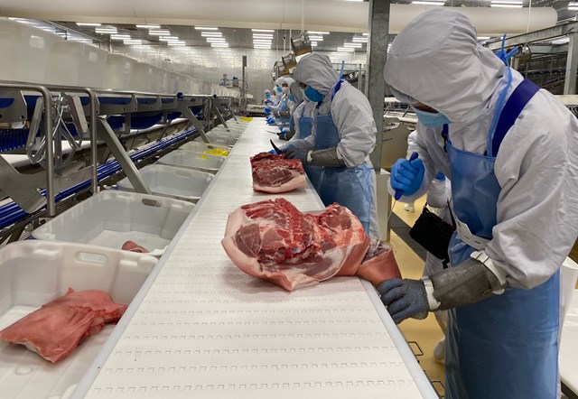 Chế biến thịt heo m&aacute;t tại tổ hợp chế biến thịt MeatDeli S&agrave;i G&ograve;n của Tập đo&agrave;n Masan đầu tư ở Long An trị gi&aacute; 1.800 tỷ đồng - Ảnh: Trần Vũ Nghi