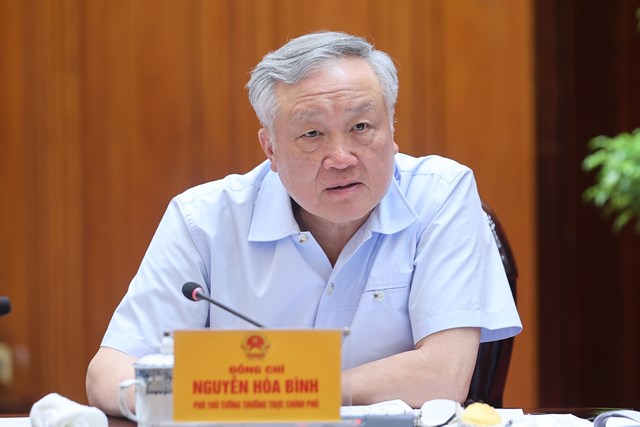 Ph&oacute; Thủ tướng Thường trực Ch&iacute;nh phủ Nguyễn H&ograve;a B&igrave;nh ph&aacute;t biểu tại phi&ecirc;n họp - Ảnh: VGP/Nhật Bắc