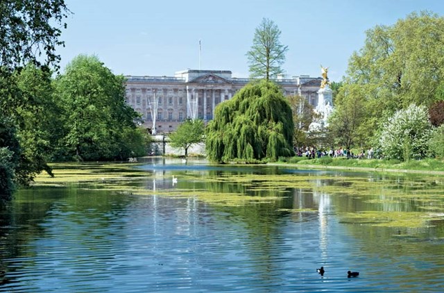 Hồ trung t&acirc;m của cung điện Buckingham &nbsp;