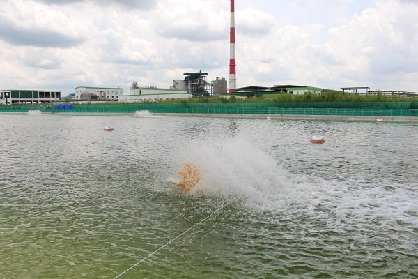 To&agrave;n cảnh nh&agrave; m&aacute;y giấy Lee&amp;Man Việt Nam hiện hữu. Ảnh: Trung Ch&aacute;nh