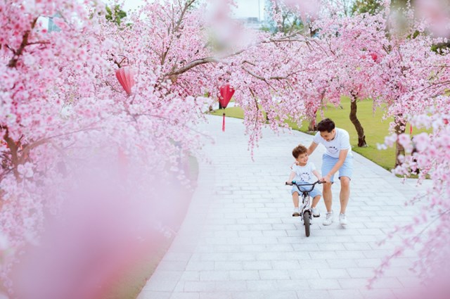 Có một thành phố “Tây” ở phía tây thành phố - Ảnh 1