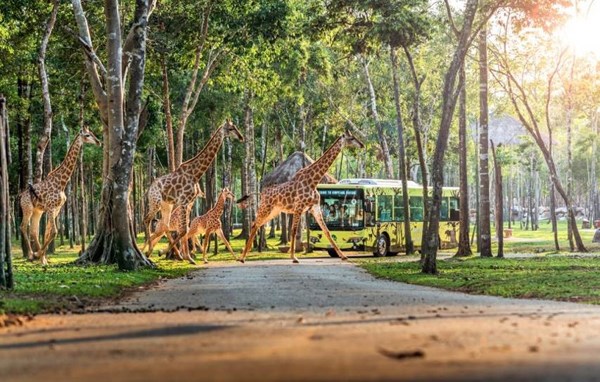 Hộ chiếu vắc xin tại Ph&#250; Quốc - ‘liều thuốc’ vực dậy du lịch Việt trong đại dịch - Ảnh 7