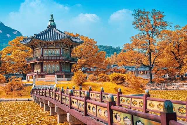 Cung điện Changdeokgung&nbsp;x&acirc;y từ năm 1405, l&agrave; cung điện thứ 2 của H&agrave;n Quốc sau khi c&oacute; cung Gyeongbokgung. Đ&acirc;y l&agrave; nơi ở ch&iacute;nh của c&aacute;c đời vua thời Joseon (1392 - 1897), đồng thời l&agrave; cung được g&igrave;n giữ tốt nhất trong số c&aacute;c cung điện của triều đại n&agrave;y. Nằm ở trung t&acirc;m thủ đ&ocirc; Seoul, cung điện Changdeokgung c&oacute; khung cảnh đẹp tới m&ecirc; hồn vua ch&uacute;a xưa kia lẫn du kh&aacute;ch v&agrave; người d&acirc;n H&agrave;n Quốc hiện nay. Cung l&agrave; nơi cho bạn thời gian thư gi&atilde;n, tận hưởng m&ugrave;a thu y&ecirc;n b&igrave;nh ngay trong l&ograve;ng Seoul nhộn nhịp.