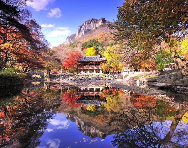 Ch&ugrave;a Baekyangsa&nbsp;nằm trong vườn quốc gia Naejangsan, tỉnh Jeolla cũng l&agrave; nơi bạn vừa chi&ecirc;m ngưỡng vừa lưu được những khoảnh khắc đẹp của m&ugrave;a thu H&agrave;n Quốc. Đặc biệt với người th&iacute;ch chụp ảnh phản chiếu th&igrave; Ssanggyeru l&agrave; điểm đến l&yacute; tưởng. Thảm l&aacute; v&agrave;ng đỏ ở đ&acirc;y thường chuyển m&agrave;u sớm, bạn n&ecirc;n kiểm tra t&igrave;nh h&igrave;nh m&ugrave;a thu nơi n&agrave;y trước khi tới.