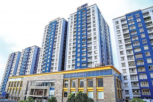 Năm Bảy Bảy (NBB) l&#227;i r&#242;ng 9 th&#225;ng giảm 99% so với c&#249;ng kỳ - Ảnh 1