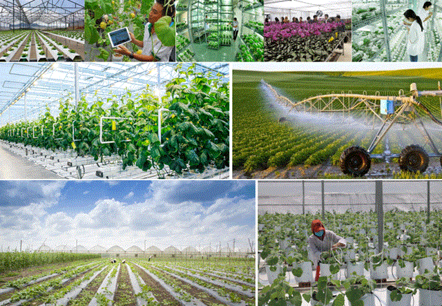 Ph&aacute;t triển nền kinh tế n&ocirc;ng nghiệp c&oacute; sức cạnh tranh cao thuộc nh&oacute;m dẫn đầu trong khu vực v&agrave; tr&ecirc;n thế giới.