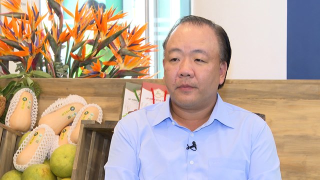 Ông Trần Hữu Linh, Cục trưởng Cục Quản lý và Phát triển trong nước (Bộ Công Thương)