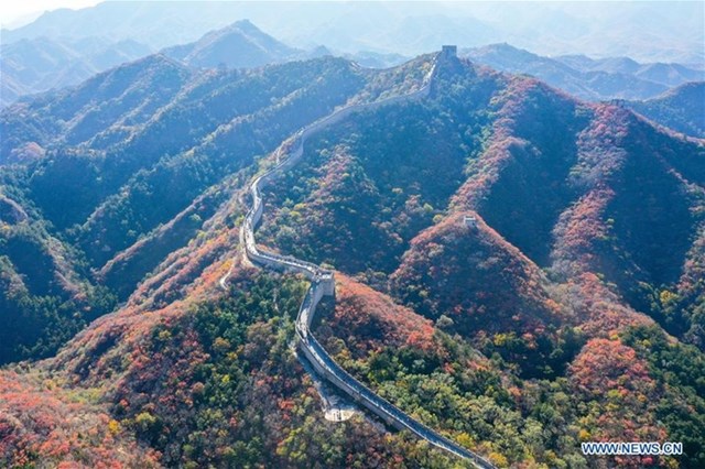 Khung cảnh Vạn L&yacute; Trường Th&agrave;nh chụp ng&agrave;y 24/10, những vạt rừng bao quanh kỳ quan thế giới đ&atilde; đổi m&agrave;u l&aacute; mang đậm kh&ocirc;ng kh&iacute; m&ugrave;a thu.
