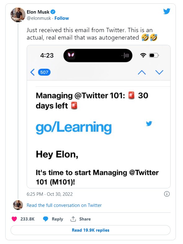 Elon Musk chia sẻ kh&#244;ng biết CEO Twitter l&#224; ai - Ảnh 1