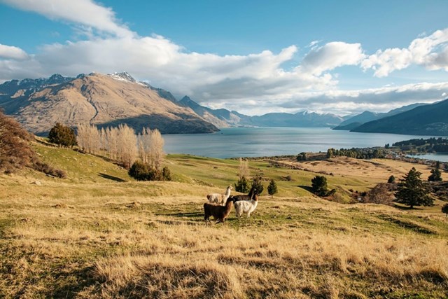 Tầm nh&igrave;n to&agrave;n cảnh hướng ra hồ nước v&agrave; d&atilde;y n&uacute;i The Remarkables