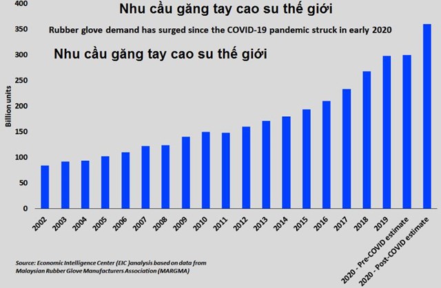 &quot;Vựa cao su&quot; Đ&#244;ng Nam &#193; chật vật kh&#244;ng đ&#225;p ứng đủ nhu cầu khiến gi&#225; cao su tăng vọt - Ảnh 2