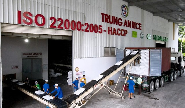 N&#244;ng nghiệp C&#244;ng nghệ cao Trung An (TAR) l&#227;i r&#242;ng qu&#253; III/2022 giảm 98% - Ảnh 1